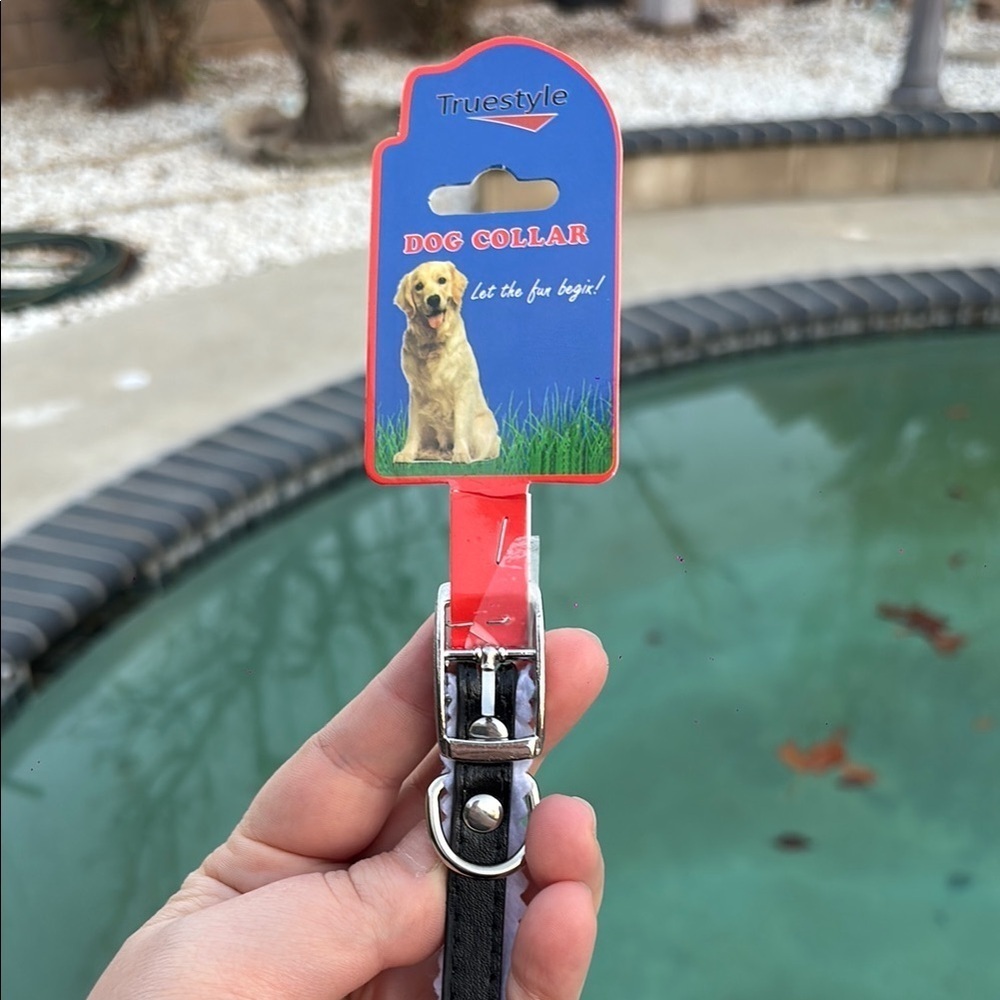 Black Collar for Small Dogs | collar length 11in